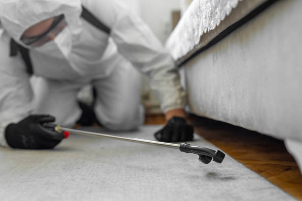 Professional Cockroach Control technician working in Clarksville, IN